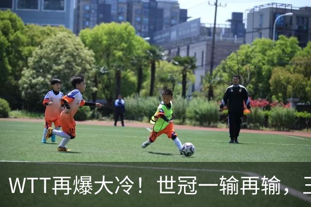 WTT再爆大冷！世冠一输再输，王楚钦确定回归，国乒似乎要变天了
